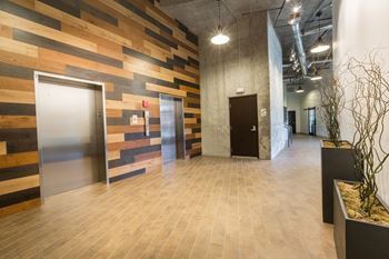 A hallway with a wooden wall and a plant on the side.